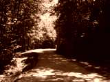 fichier 20090719_1302_d80_route-0.jpg