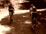 fichier 20090719_1308_002d80_route-0.jpg