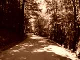 fichier 20090719_1312_002d80_route-0.jpg