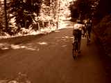 fichier 20090719_1333_d80_route_XXXX_XXXX-0.jpg