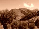 fichier 20090719_1555_d926_route-0.jpg