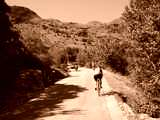 fichier 20090719_1601_d926_route_chantal_ruggiero_echirolles-0.jpg