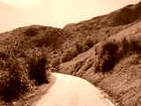 fichier 20090719_1606_001d926_route-0.jpg