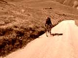 fichier 20090719_1621_002d926_route_cyclo_descente-0.jpg