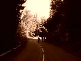 fichier 20090719_1801_d526_route-0.jpg