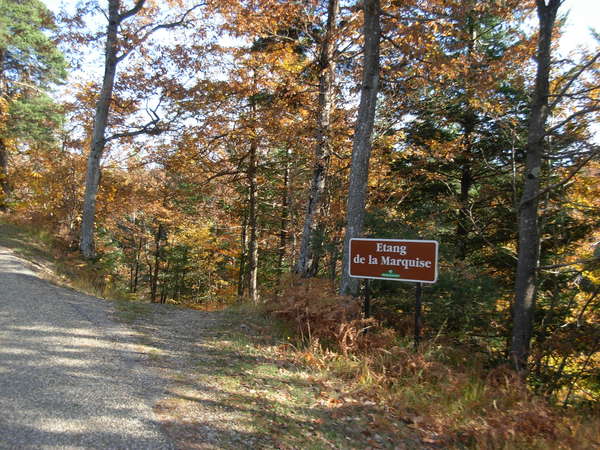 fichier 20091027_1423_001d20f_route_etang_de_la_marquise-0.jpg