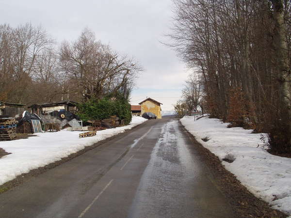 fichier 20091027_1524_002d156_route_les_bois_de_la_cour-0.jpg