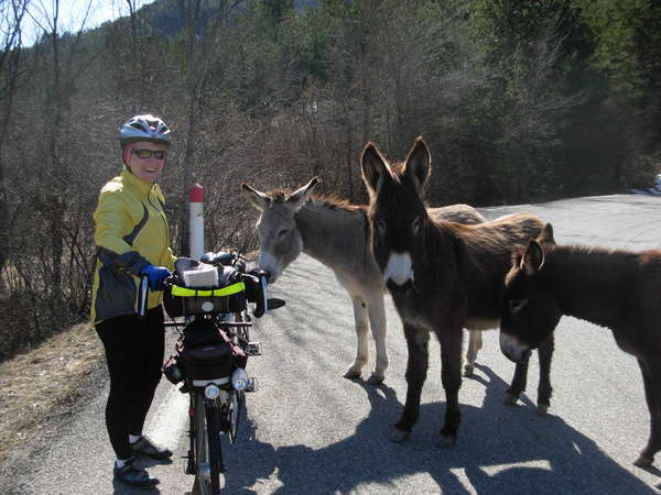 fichier 20100319_1112_002d93_route_isabelle_anes-0.jpg