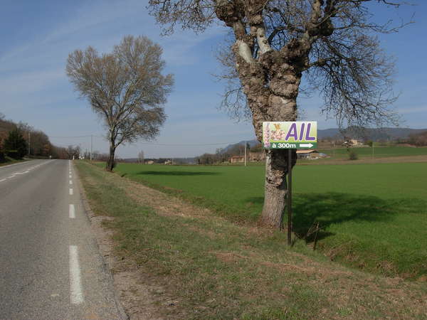 fichier 20100319_1516_d538_route_panneau_ail-0.jpg