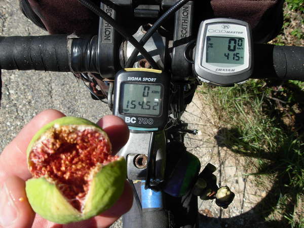 fichier 20100911_1412_001d4_route_maraudage_figue_fraiche-0.jpg