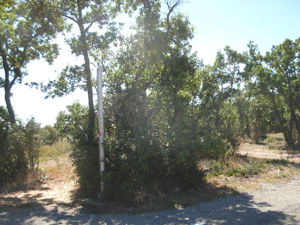 fichier 20100911_1504_001d4_route_col_de_murs-0.jpg