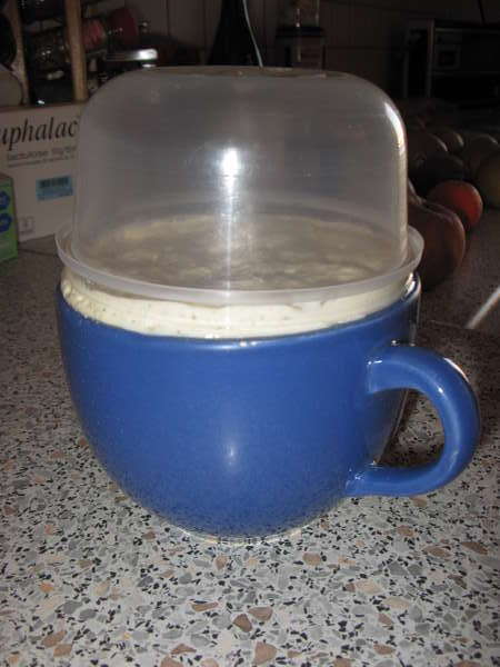 fichier 20101218_0915_recette_brioche_levain_apres_gonflage-0.jpg