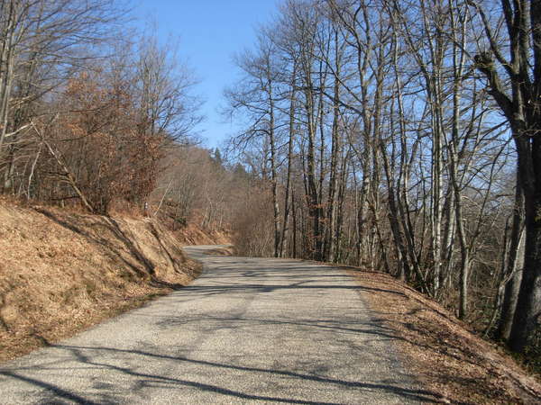 fichier 20101029_1411_d228_route-0.jpg