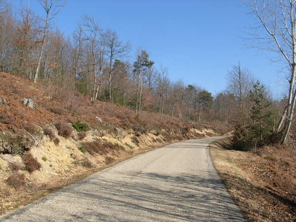 fichier 20101029_1413_d228_route-0.jpg