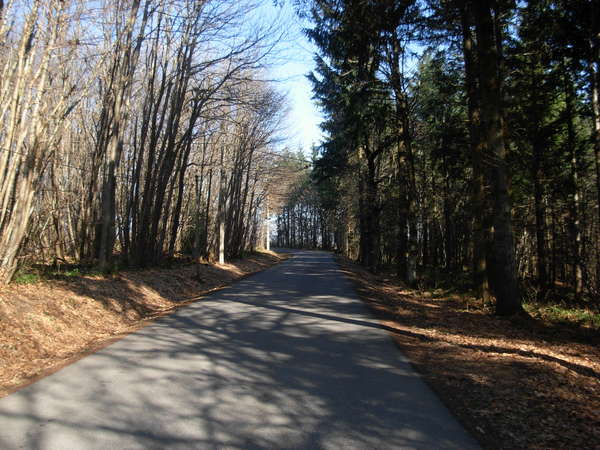 fichier 20101029_1439_d156_route-0.jpg