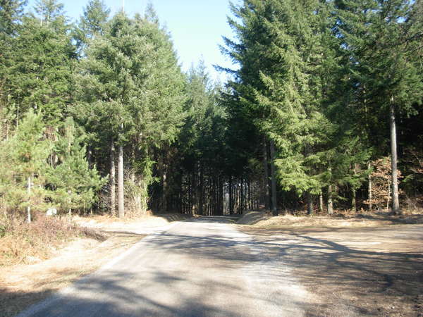 fichier 20101029_1441_d156_route-0.jpg