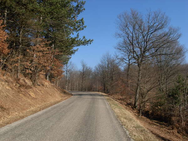 fichier 20101029_1443_d156_route-0.jpg