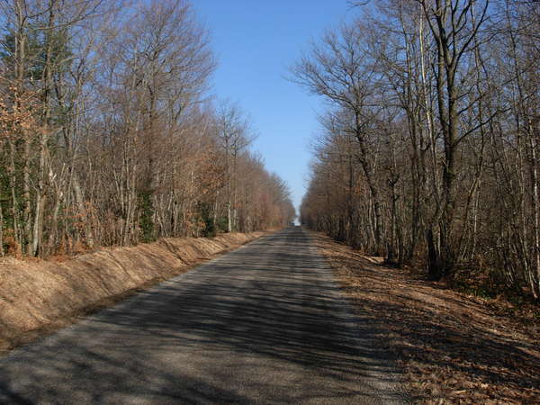 fichier 20101029_1445_d156_route-0.jpg