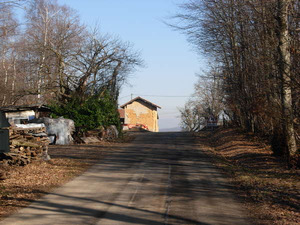 fichier 20101029_1447_001d156_route_les_bois_de_la_cour-0.jpg