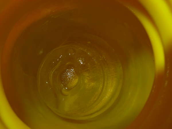 fichier 20120204_2309_005desert_snow_trail_glacon_gourde-0.jpg