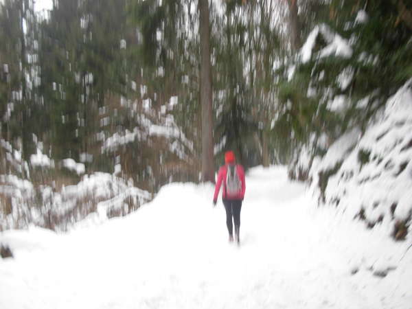 fichier 20120219_0939_trail_blanc_bourget_en_huile_montee-0.jpg