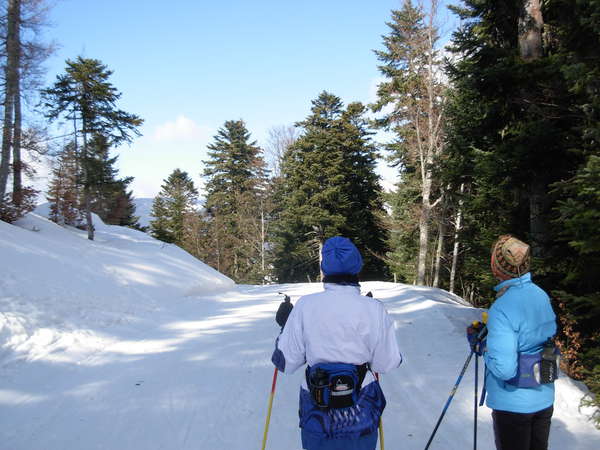 fichier 20120226_1415_gan_ski_de_fond_allieres_les_allieres_tania_claude-0.jpg