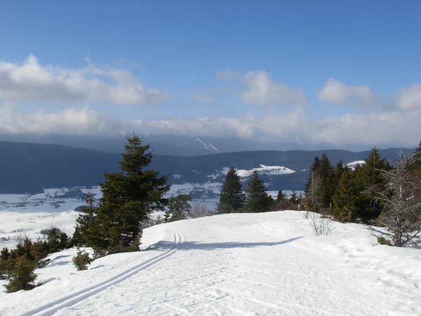 fichier 20120226_1439_001gan_ski_de_fond_allieres_les_allieres_le_belvere-0.jpg