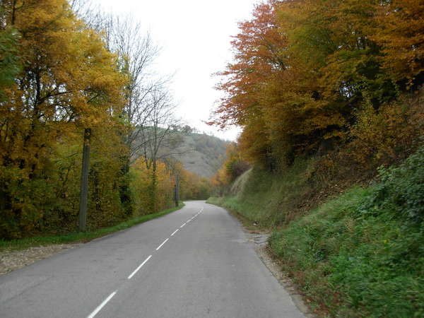 fichier 20111031_0937_d22_route-0.jpg