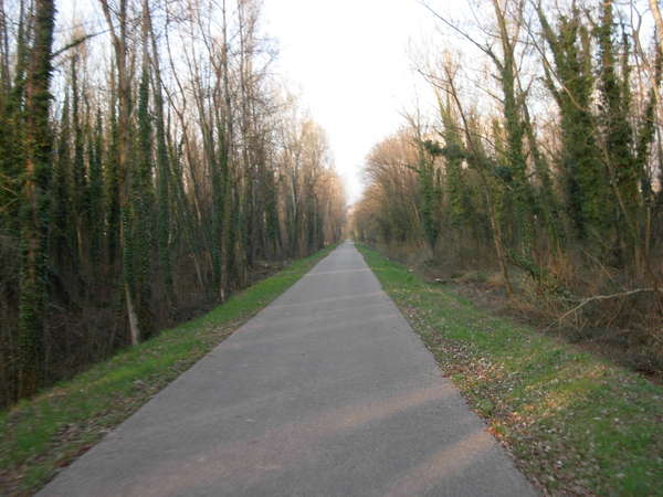 fichier 20110323_1751_pc_route-0.jpg