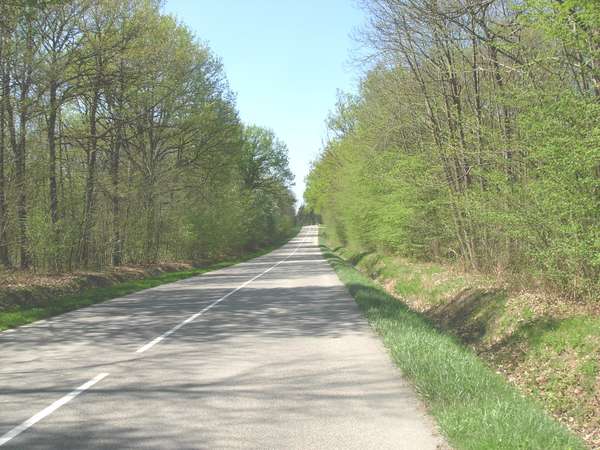 fichier 20110409_1412_d904_route-0.jpg