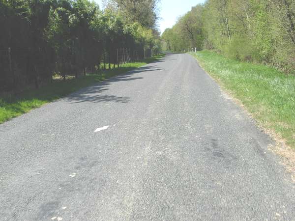 fichier 20110409_1519_d27b_route-0.jpg