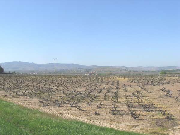 fichier 20110409_1655_d337_route_apercu_monts_du_lyonnais-0.jpg