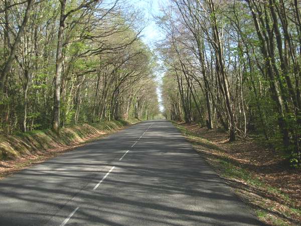 fichier 20110410_1730_001d41_route_fin_montee-0.jpg