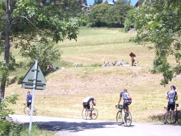 fichier 20120708_1449_002d80_route_d6381-0.jpg