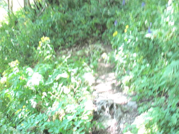 fichier 20120818_1213_003rando_col_chaos_bellefond_floue-0.jpg