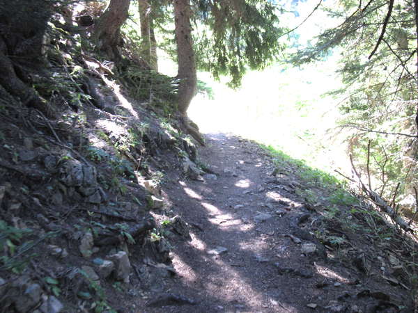 fichier 20120818_1243_003rando_col_chaos_bellefond_chemin-0.jpg
