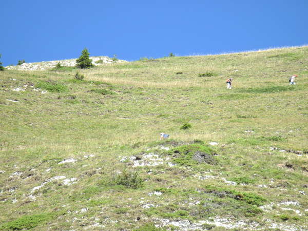 fichier 20120818_1501_001rando_col_chaos_bellefond-0.jpg