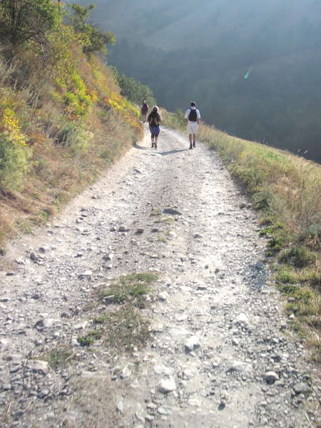 fichier 20120909_1010_004rando_lac_goleon_etat_sentier-0.jpg