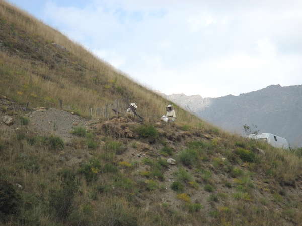 fichier 20120909_1609_003rando_lac_goleon_recolte_miel-0.jpg