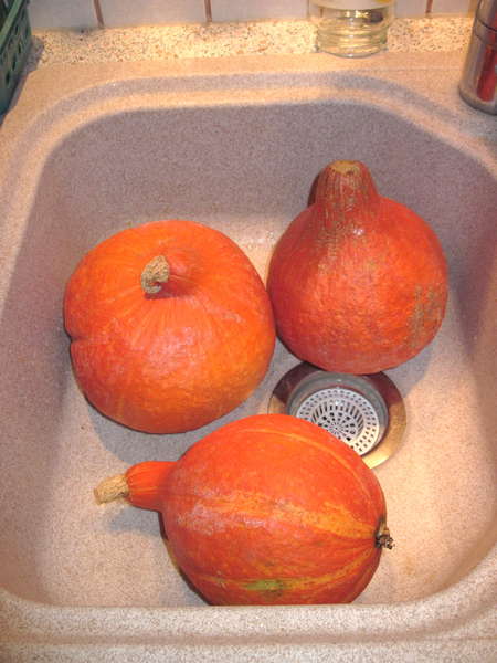 fichier 20121113_1903_001soupe_potimarron_trois_potimarrons-0.jpg