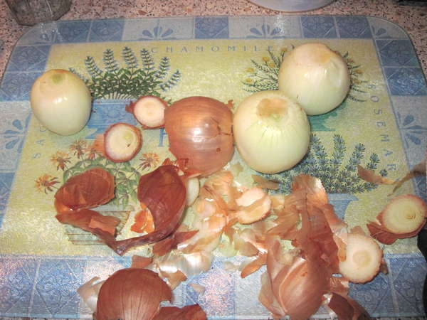 fichier 20121113_1908_002soupe_potimarron_eplucher_les_oignons-0.jpg