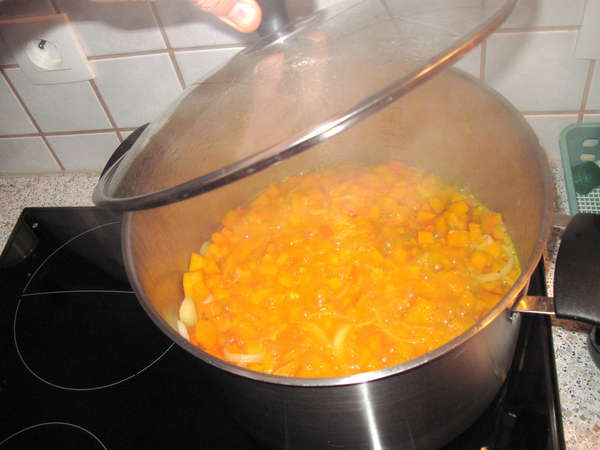 fichier 20121113_2232_soupe_potimarron_ajouter_un_peu_eau_et_faire_bouillir-0.jpg