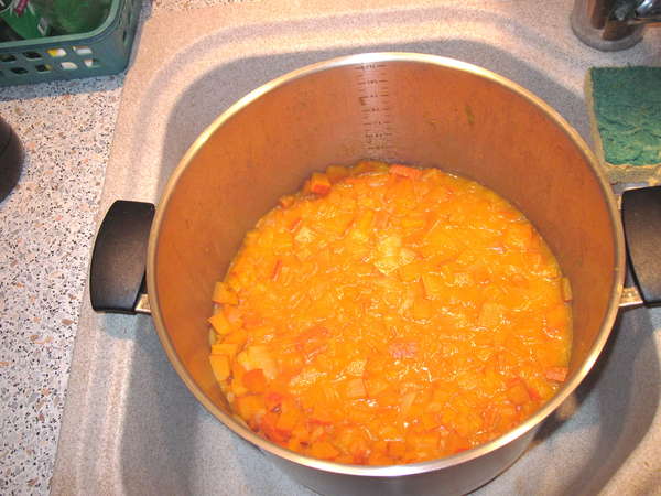 fichier 20121113_2245_001soupe_potimarron_cuisson_apres_15_minutes-0.jpg