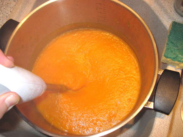 fichier 20121113_2248_soupe_potimarron_aspect_apres_deux_minutes_de_battage-0.jpg