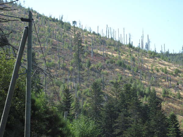 fichier 20120908_1301_002d236_route-0.jpg