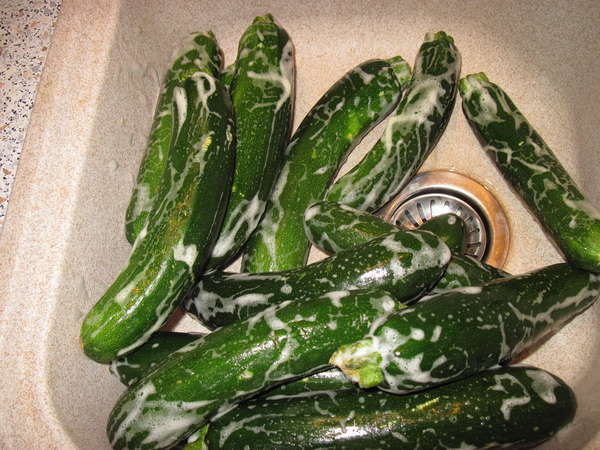 fichier 20130327_1907_soupe_courgettes_celeri_fenouil_bien_laver_les_courgettes-0.jpg