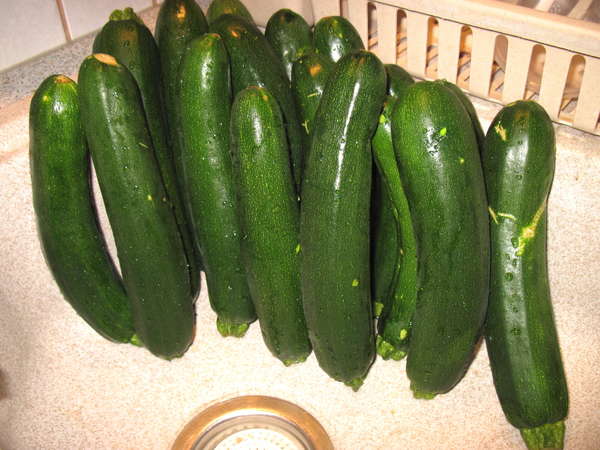 fichier 20130327_1910_001soupe_courgettes_celeri_fenouil_bien_rincerl_es_courgettes-0.jpg