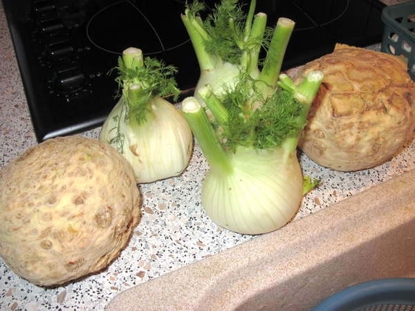 fichier 20130327_1910_002soupe_courgettes_celeri_fenouil_celeri_et_fenouil-0.jpg