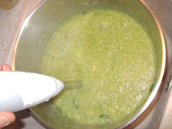 fichier 20130327_2059_soupe_courgettes_celeri_fenouil_bien_mixer_sans_arret_pendant_5mn-0.jpg