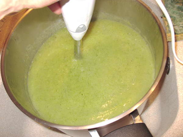 fichier 20130327_2101_002soupe_courgettes_celeri_fenouil_bien_mixer_sans_arret_pendant_5mn-0.jpg
